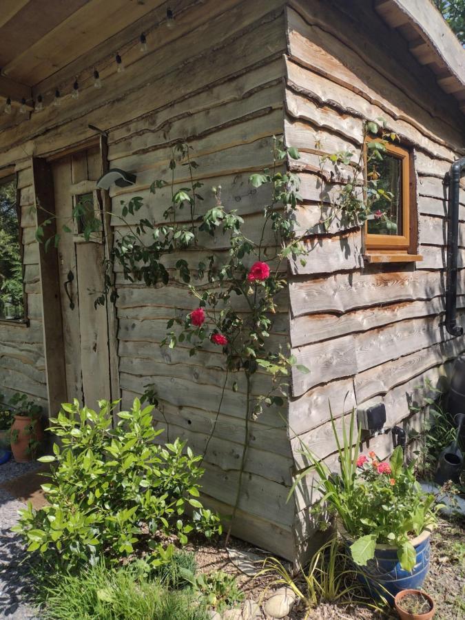 The Cabins Conwy Exterior foto