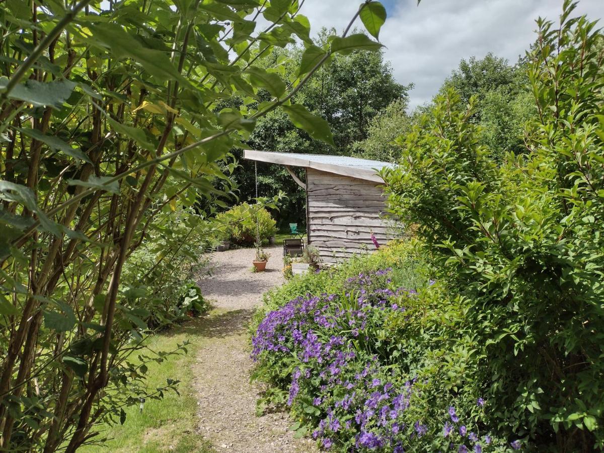 The Cabins Conwy Exterior foto